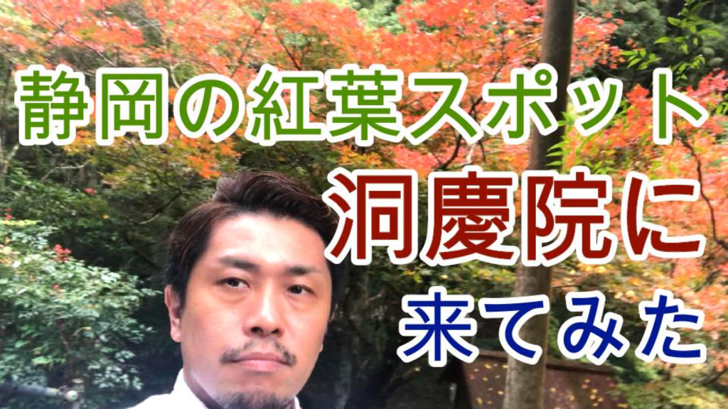 静岡駅から30分!静岡市の紅葉スポット洞慶院に行ってみた【Vlog】